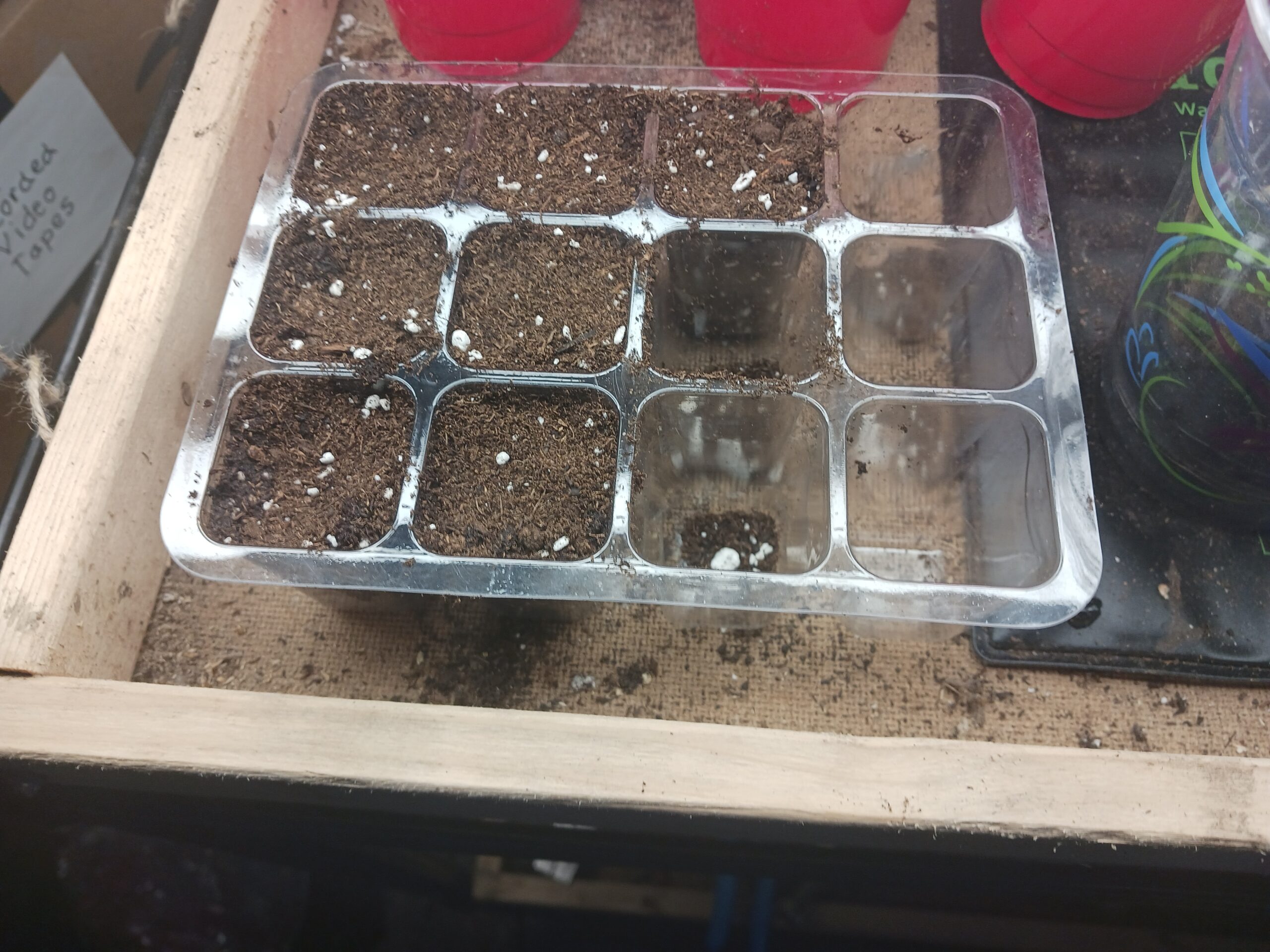 Jan 6,20234 Seven just planted